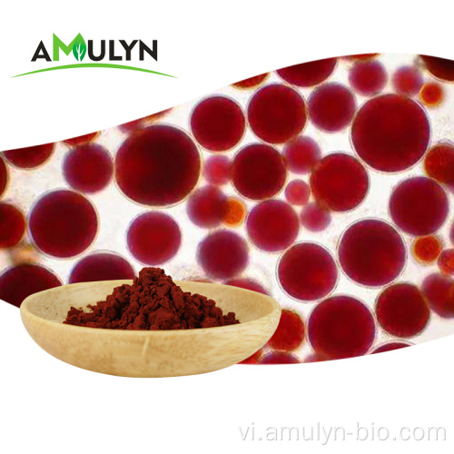 Haematococcus pluvialis chiết xuất 5% astaxanthin